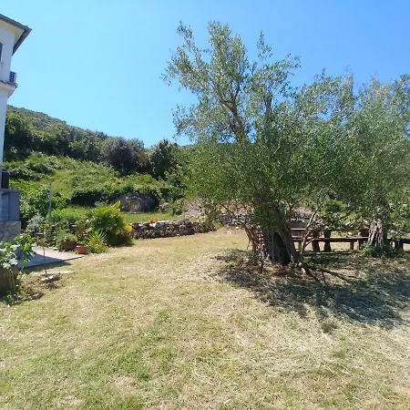 Bubica * Luka (Dugi Otok)