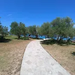 Bubica