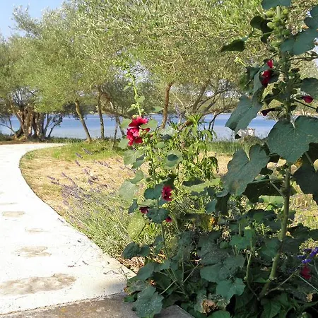 Bubica Apartamento *